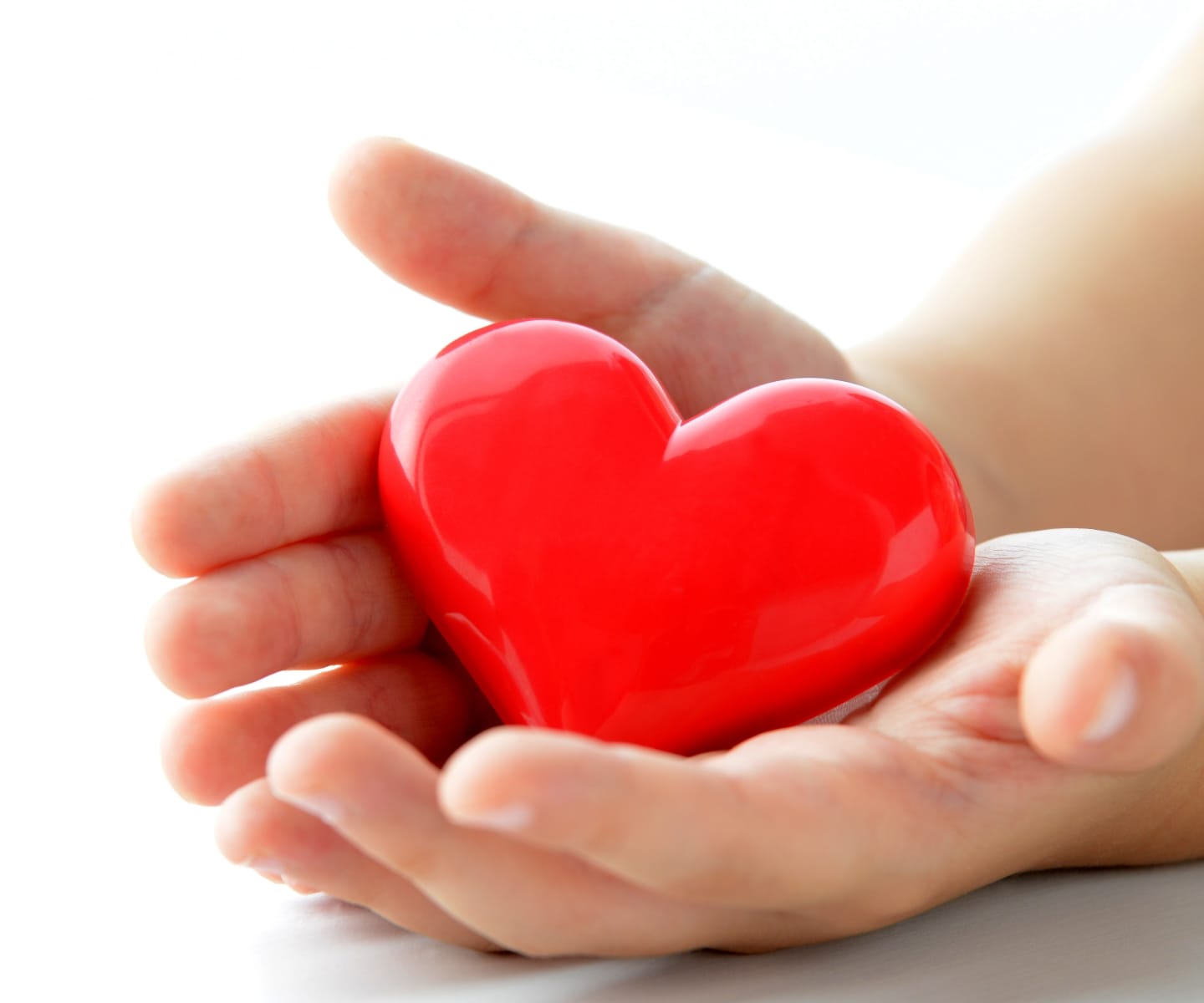 GIFTを寄付で応援する